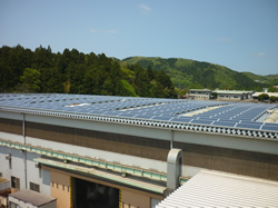 工場屋根に設置した太陽光パネル